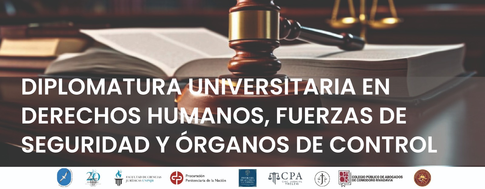 Diplomatura universitaria en derechos humanos, fuerzas de seguridad y órganos de control